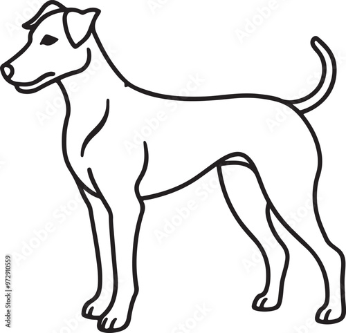A vector linear illustration featuring a black and white silhouette of a dog, emphasizing its graceful outline