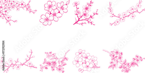 Japanese cherry icon set collection