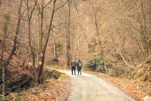 Two people wander along a gravel path in an autumn forest, surrounded by tall, leafless trees and a carpet of brown leaves, enjoying the tranquility of nature