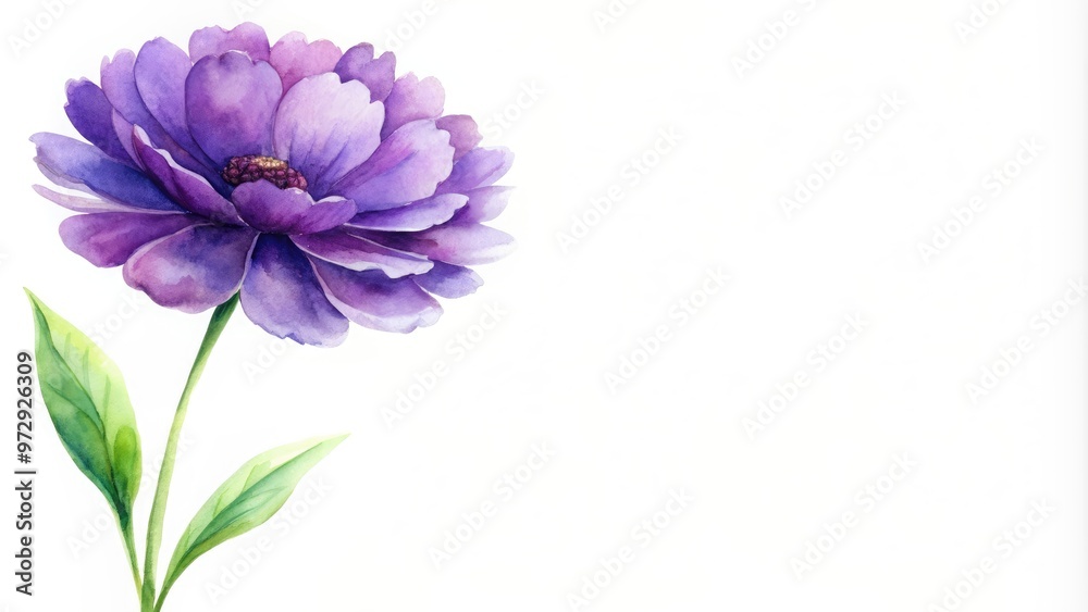 Watercolor painting of purple flower and green stem, watercolor, painting, purple, flower, green, stem, nature, botanical Watercolor painting of purple flower and green stem, watercolor, painting, purple, flower, green, stem, nature, botanical