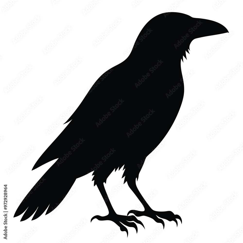 Obraz premium Vector Crow Silhouette Design Black Bird Illustrations. 