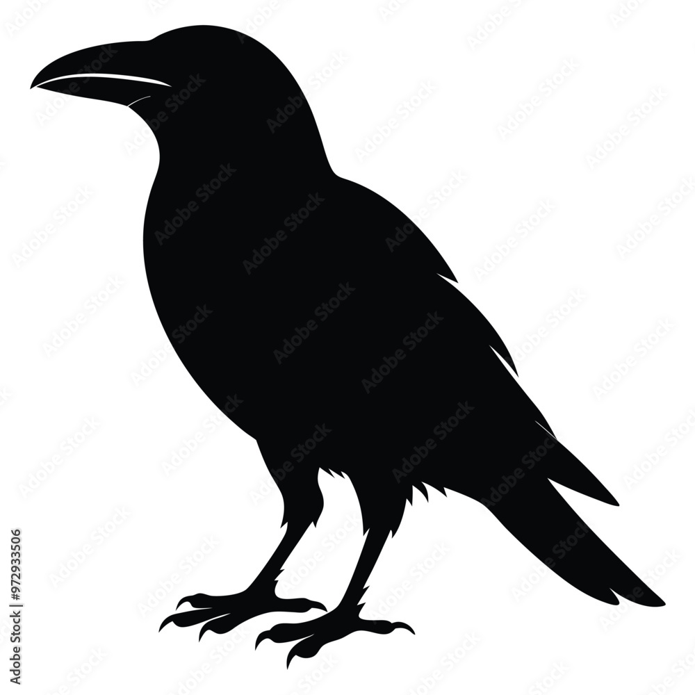 Fototapeta premium Vector Crow Silhouette Design Black Bird Illustrations. 