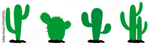 oasis cactus tree