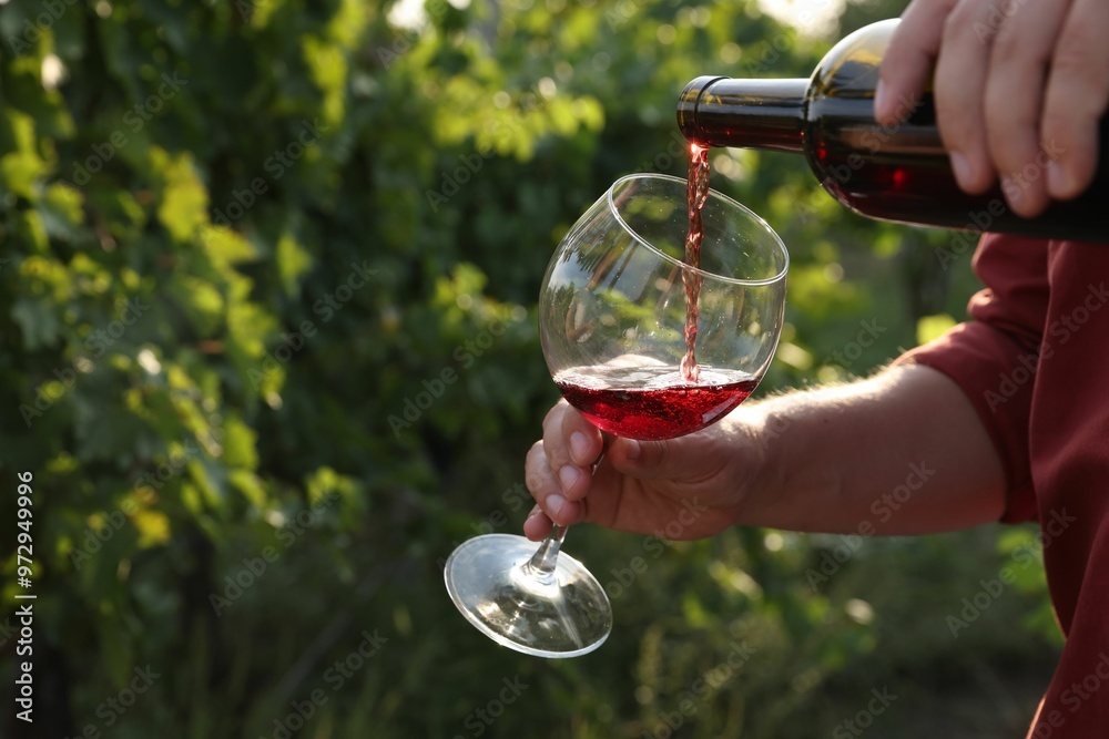 Fototapeta premium Man pouring tasty wine from bottle into glass outdoors, closeup. Space for text