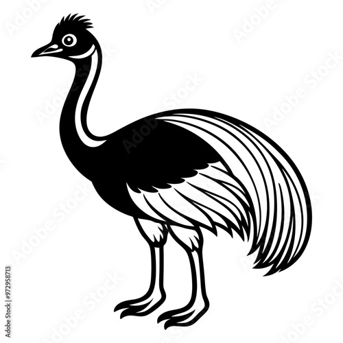 Download Cassowary Vector Svg File For Design. photo