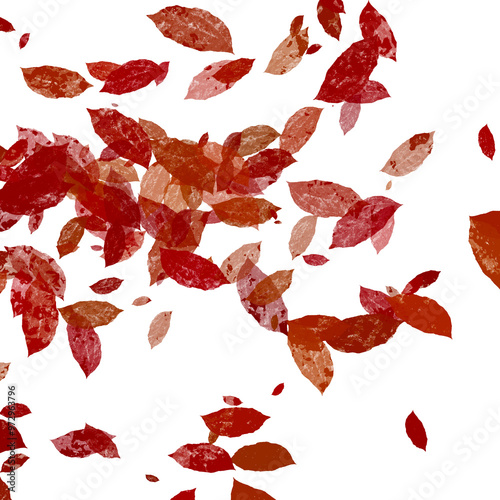 Red Leaves Falling Randomly