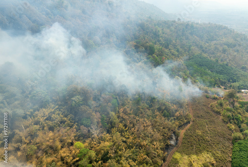 The biggest cause of forest loss is agricultural deforestation ,environmental damage in Southeast Asia , global warming and environment.