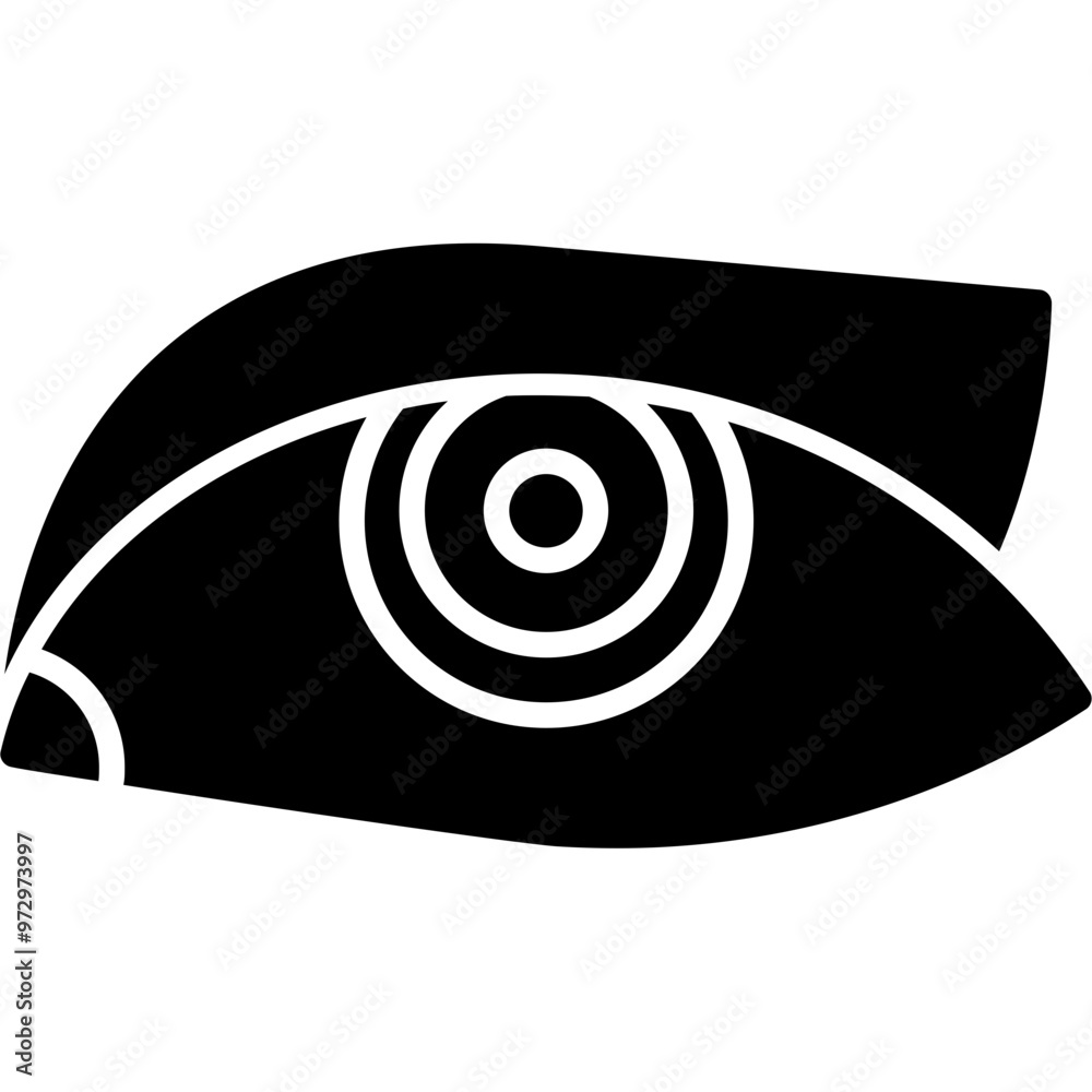 Eyeball Icon Eyeball Icon