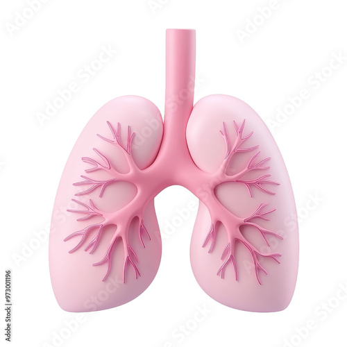 pink lung 3d render icon isolated on transparent background cutout photo