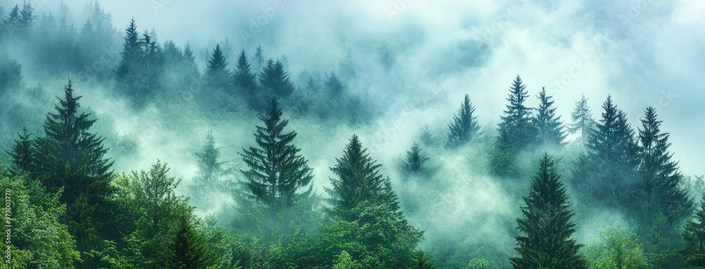 A serene misty forest filled with tall trees, their tops hidden in light fog, and lush green foliage beneath, creating a peaceful and ethereal atmosphere. A serene misty forest filled with tall trees, their tops hidden in light fog, and lush green foliage beneath, creating a peaceful and ethereal atmosphere.