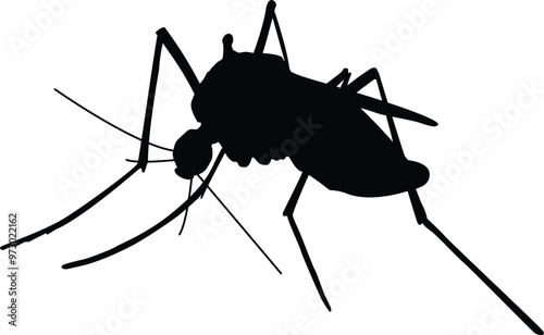Mosquito icon, insects icon, home insect, malaria awareness