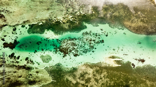 Fototapeta Naklejka Na Ścianę i Meble -  coral reef in aquarium