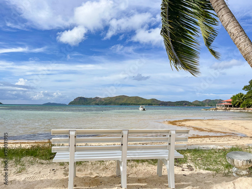 beach with palm trees photo