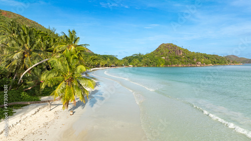 beach with palm trees