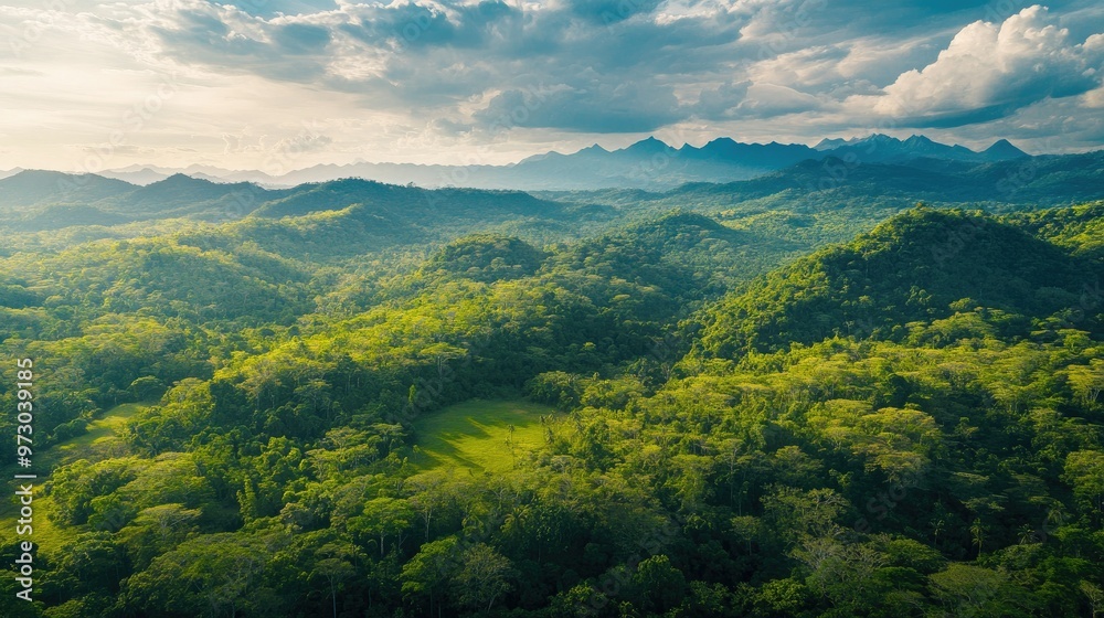 Fototapeta premium A stunning aerial shot of a lush forest covering rolling hills, leading up to a range of majestic mountains in the distance.