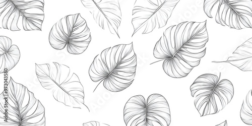 Black and White Monstera Leaves Pattern