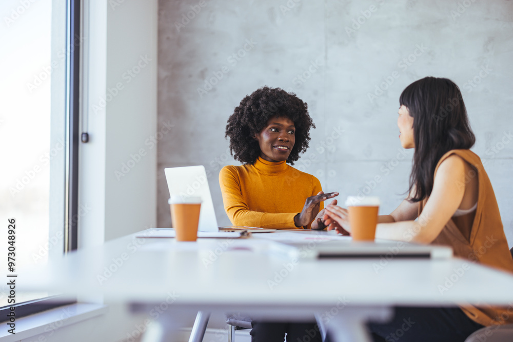 Two Women Having a Business Meeting in Modern Office Two Women Having a Business Meeting in Modern Office