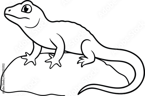 Lizard on a Rock Playful Vector Illustrations for Kids Coloring Fun
