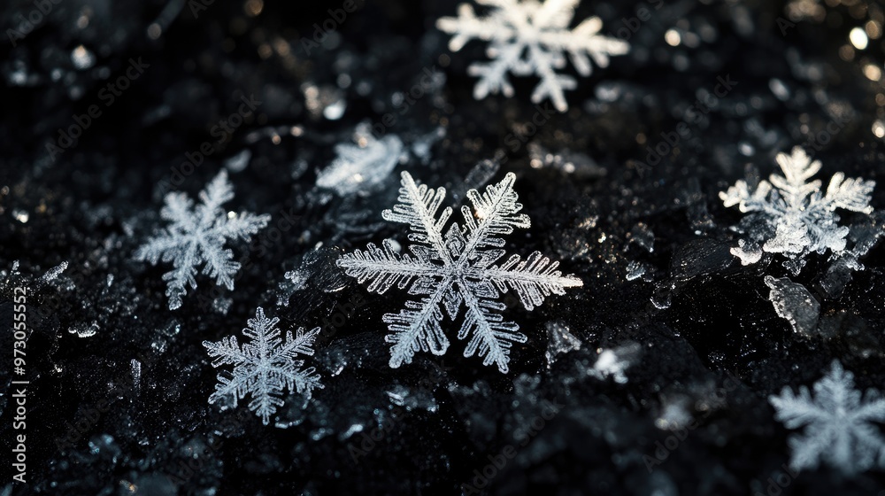 White snowflakes gently landing on a black background, their fragile forms highlighted against the rich darkness White snowflakes gently landing on a black background, their fragile forms highlighted against the rich darkness