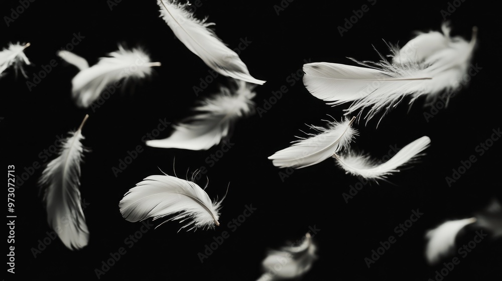 White feathers suspended in mid-air on a black background, symbolizing grace, lightness, and elegance White feathers suspended in mid-air on a black background, symbolizing grace, lightness, and elegance