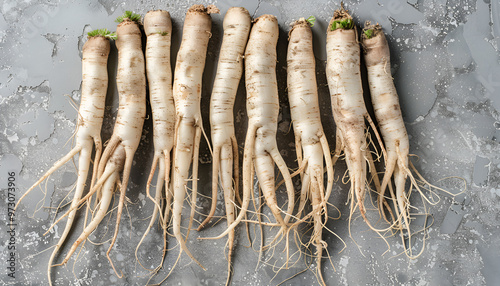 Raw salsify roots on grey table, flat lay photo