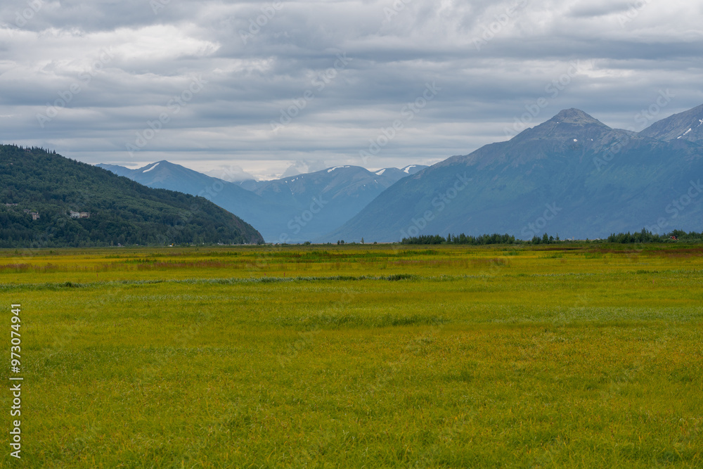 Obraz premium Panoramic view of green valley of native grass and mountains in Anchorage, Alaska landscape