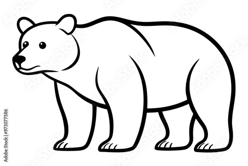 A bear vector line art illustration