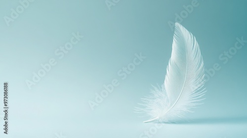 Photograph of a single white feather against an isolated pale blue background. 