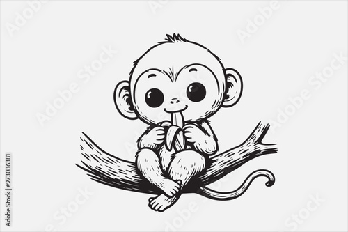 A monkey with white background.