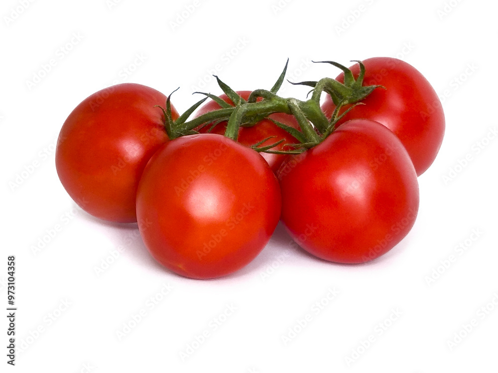 Five fresh tomatoes on a branch isolated on white background, clipping path Five fresh tomatoes on a branch isolated on white background, clipping path