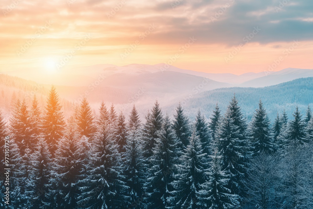 Fototapeta premium A stunning winter landscape during sunset where a dense forest of vibrant green pine trees with generative ai