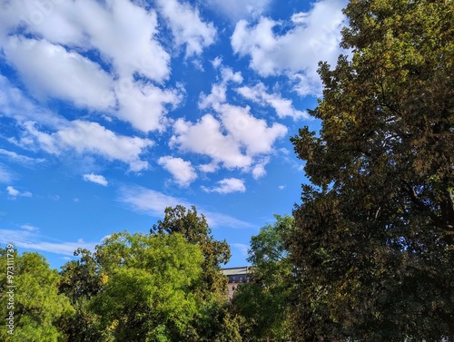 Bright blue sky. Czech republic nature. City park. Natural scenery. Fresh blue and green colors. Sunlight over trees. Countryside in Europe. Summer in Brno. Cloudy weather. Soft daylight. Nice view.