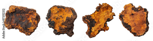 Close-Up of Natural Brown and Black Chaga Mushroom Fragments Isolated on Transparent Background – Ideal for Herbal Medicine, Organic Supplements, and Nature-Themed Designs