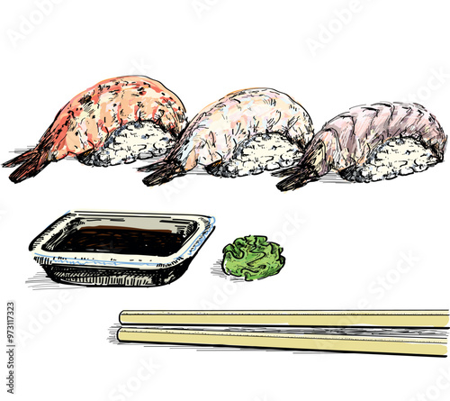 mantis shrimp, tiger prawn shrimp,botan shrimp sushi delicious with wasabi ginger and soy souce  food asian japanees restaurant dish draw linear illustration isolated on white background