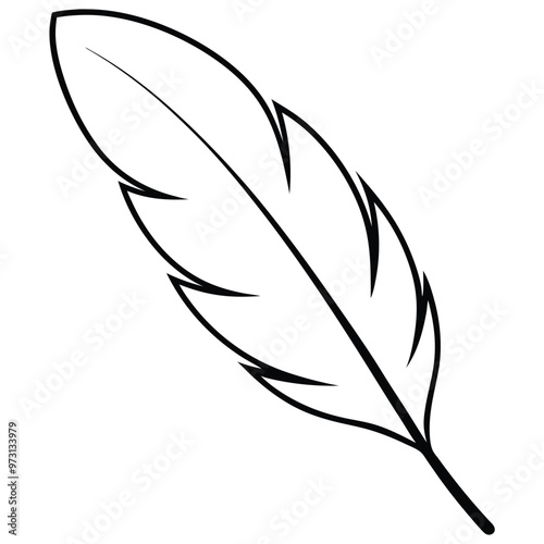 Feather Silhouette Line Art.