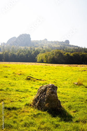 bruchhauser stones in autumn perpendicular photo