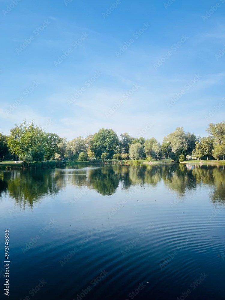 Trees reflection on the lake surface, blue lake in the park, summertime Trees reflection on the lake surface, blue lake in the park, summertime