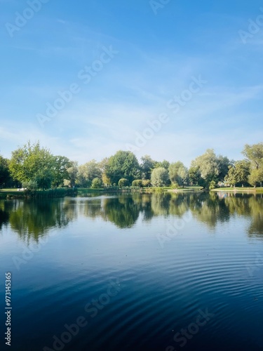 Trees reflection on the lake surface, blue lake in the park, summertime