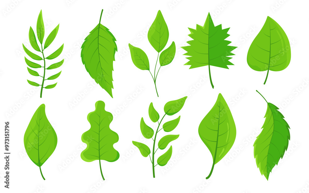 collection of lush green leaves in vector. Intricately detailed leaves for logos, patterns, brochure, website, or social media graphic. Icons for sustainability, global warming, climate change. collection of lush green leaves in vector. Intricately detailed leaves for logos, patterns, brochure, website, or social media graphic. Icons for sustainability, global warming, climate change.
