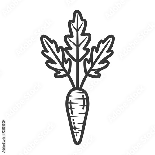 A Single Carrot with Three Green Leaves