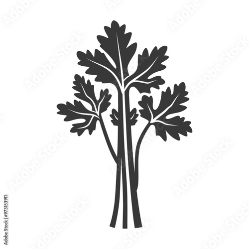 A Simple Illustration of a Bunch of Parsley