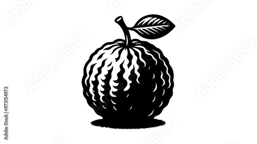 Guava silhouette vector illustration. photo