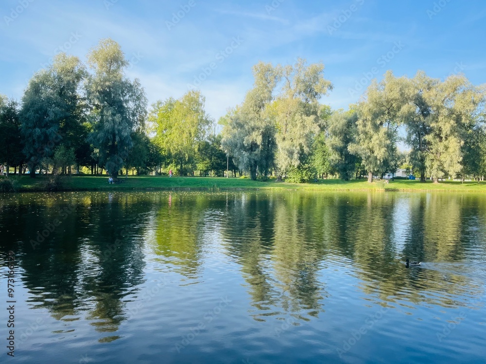 Trees reflection on the lake surface, blue lake in the park, summertime Trees reflection on the lake surface, blue lake in the park, summertime
