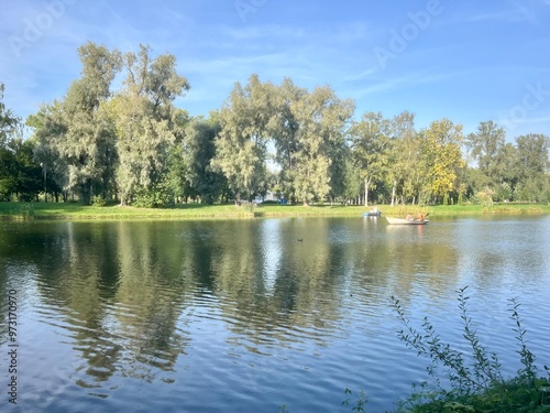 Trees reflection on the lake surface, blue lake in the park, summertime