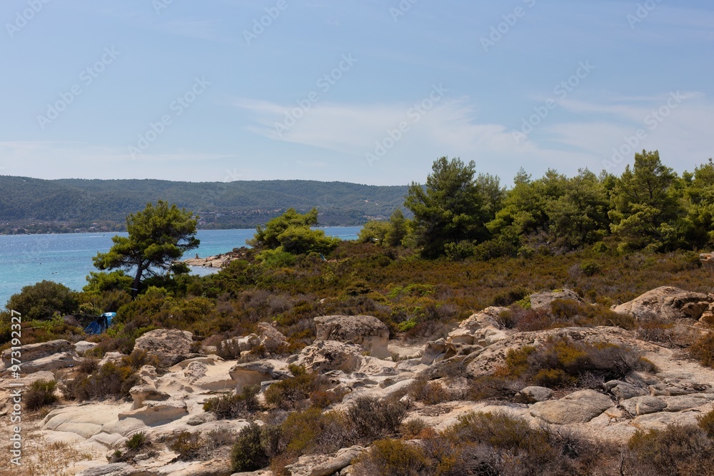 landscape with sea and trees landscape with sea and trees
