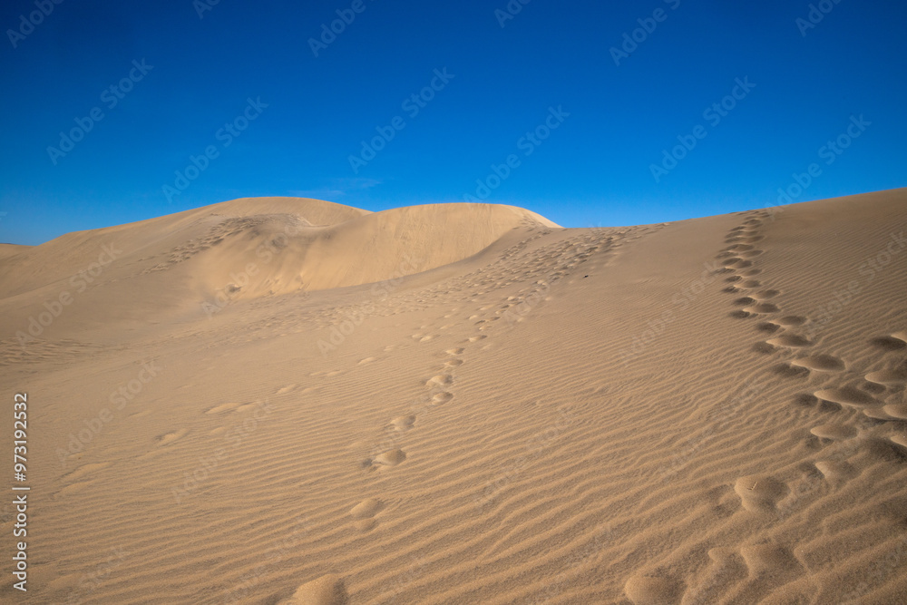 Maspalomas dunes on Gran Canaria, Canary Islands, Spain Maspalomas dunes on Gran Canaria, Canary Islands, Spain