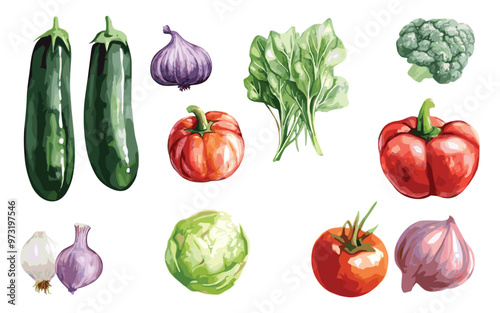 Vegetable Vector Elements, Vegetable Watercolor Illustration isolated on white background