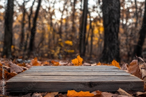 Wooden board on a forest background with autumn foliage background For display or montage products with generatve ai photo