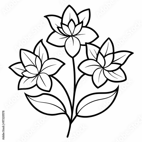 line art sketch line art flowers