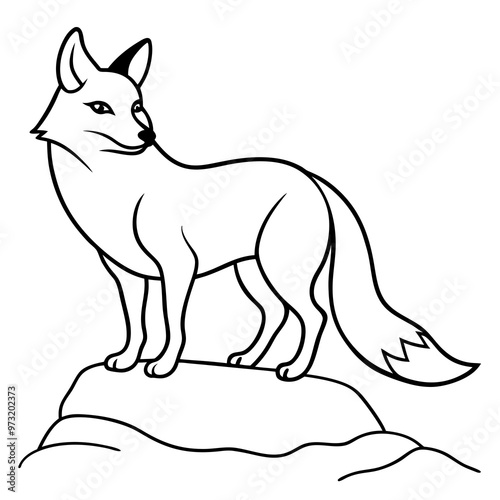 beautiful fox on rock line art vector illustration